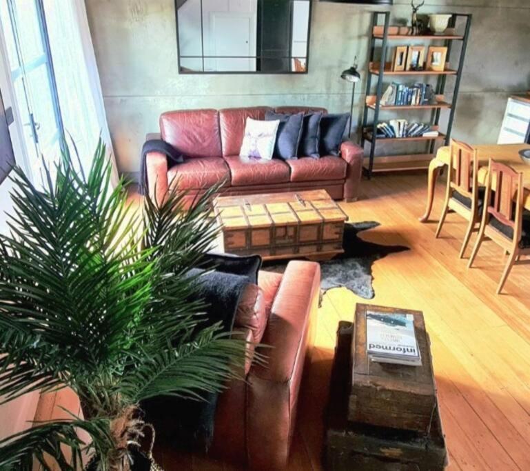 Apartment 3 - Haddin Court - Industrial Glam Blenheim Extérieur photo